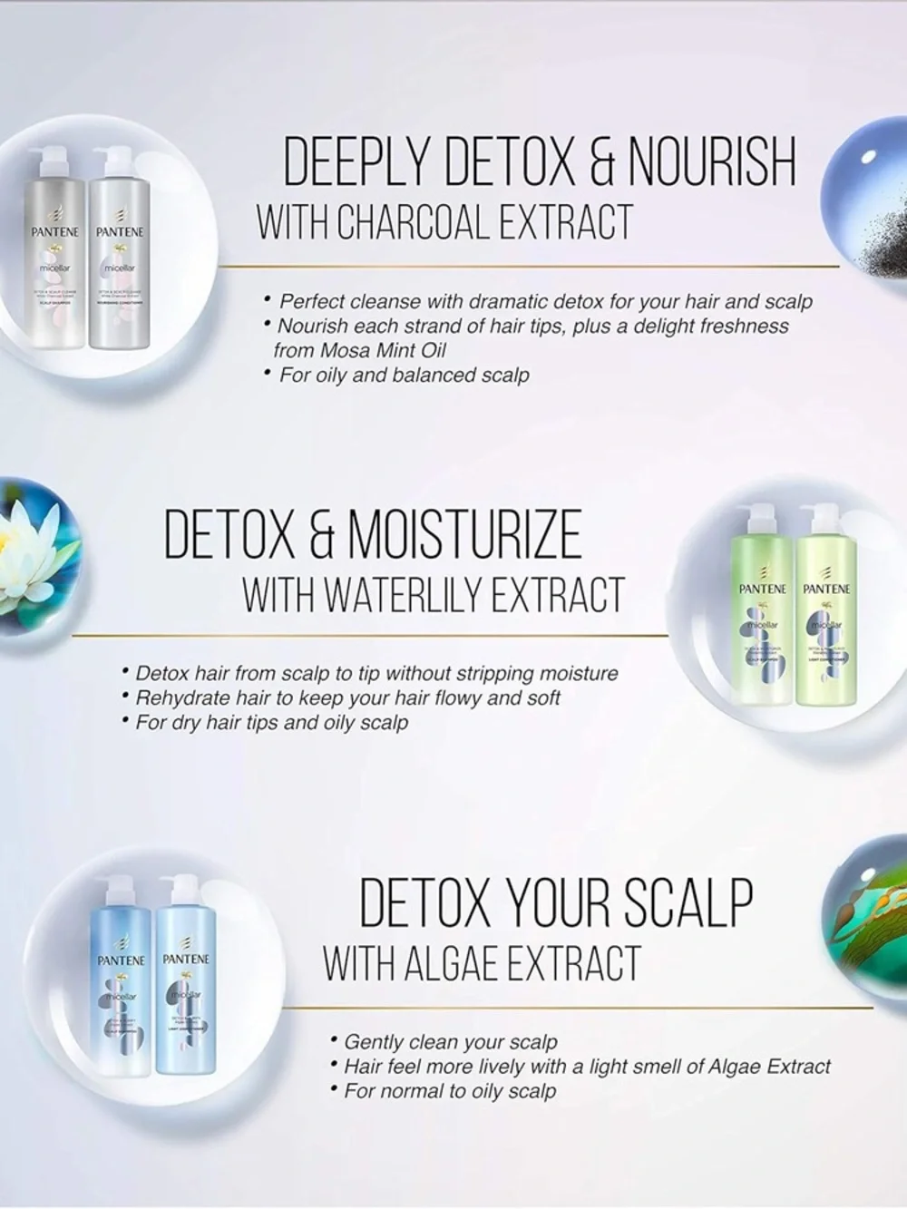 Pantene • Micellar Detox & Scalp Cleanse Shampoo  • White Charcoal (Thailand)